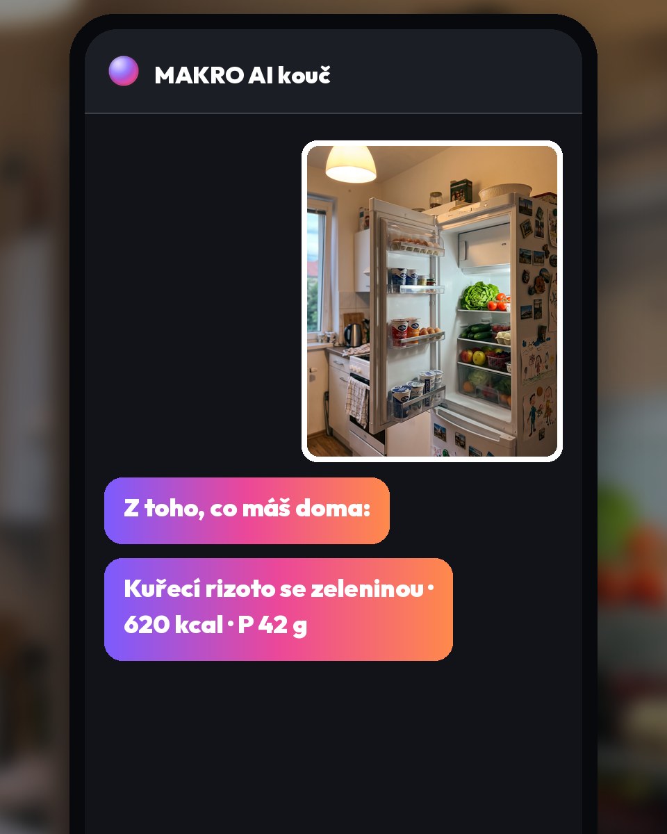 Konverzace: vyfocená lednice a návrh večeře